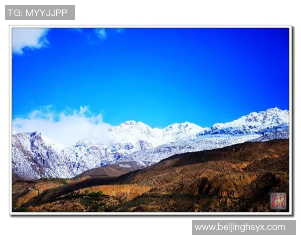 姚明携手佳能相机探索摄影艺术之旅展现运动与静态的完美结合